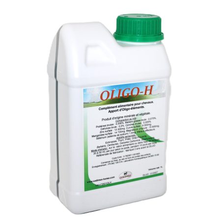 Oligo-H