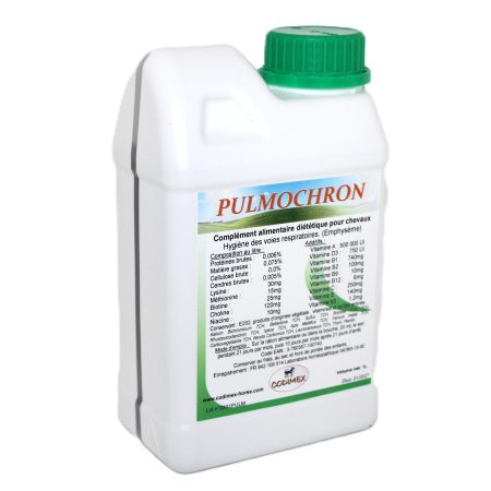 Pulmochron